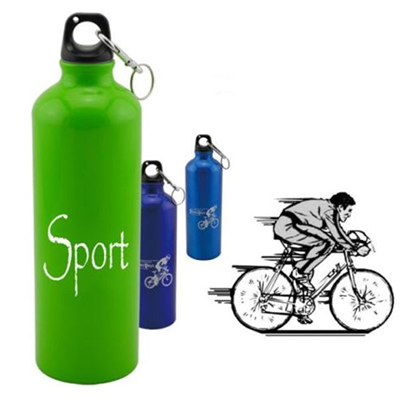 17 Oz. Aluminum Sports Bottle With Carabiner