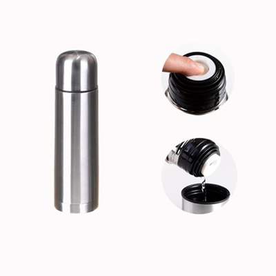 500ML Stainless Bottle