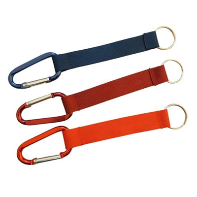 Lanyard With Carabiner