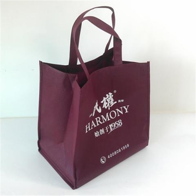 Non Woven Shopper Bag